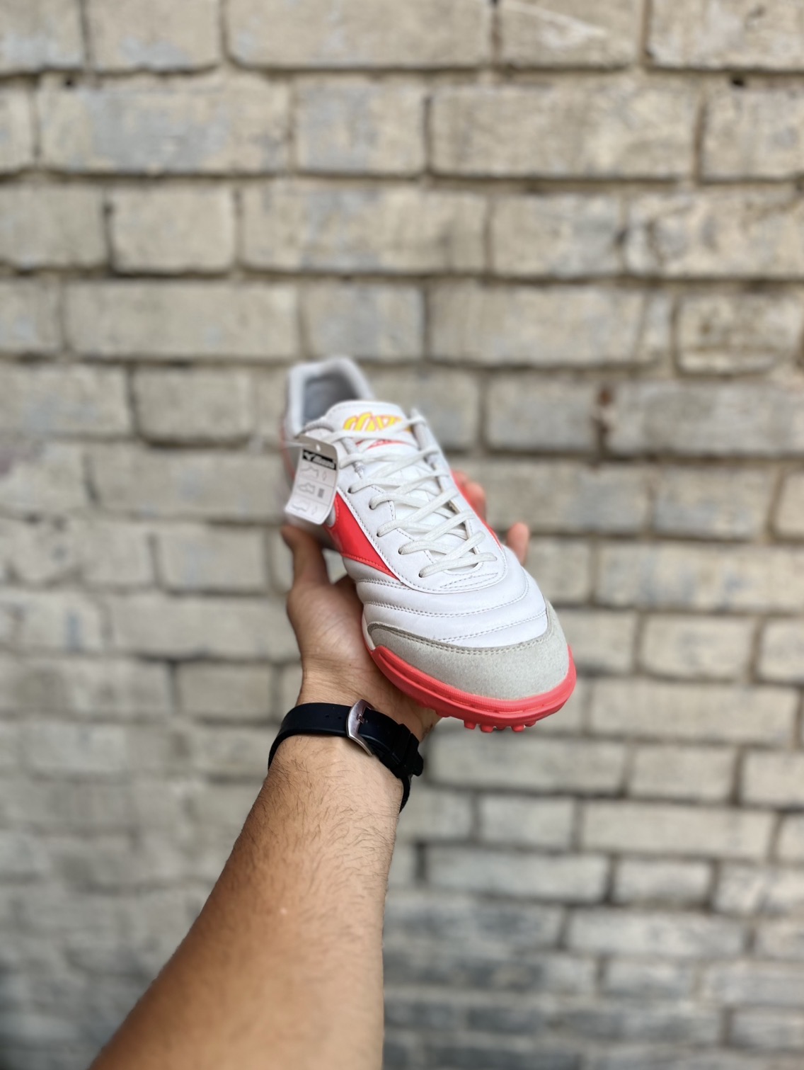 پاین ترین قیمت استوک میزانو